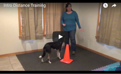 Intro to Distance Training